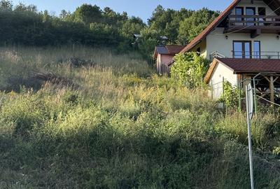 Teren de 925 mp, în Eșelnița - 1