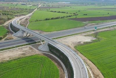 Teren Construcții intravilan de 11712 mp, în Popești-Leordeni - 6
