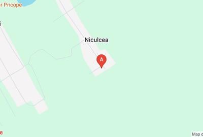 Casă individuală cu 4 camere cu Teren 6000 Mp în Niculcea