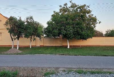 Casă cu 3 camere cu Teren 2948 Mp în Satu Mare