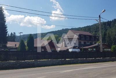 Teren Construcții intravilan de 19380 mp, în Brădet - 6