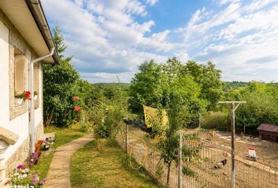 Casă cu 4 camere cu Teren 3400 Mp în Central
