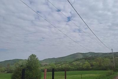 Teren de 2900 mp, în Căptălan - 5