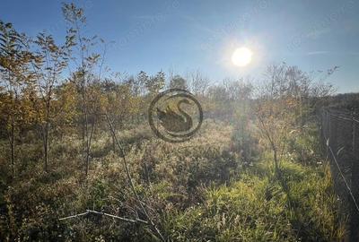 Teren de 12650 mp, în Ghirdoveni - 7