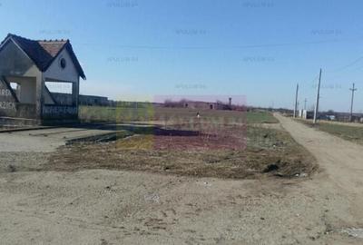 Teren Construcții intravilan de 15750 mp, în Balotești - 1