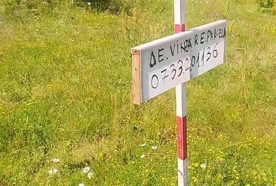 Teren de 1400 mp, în Luna - 3
