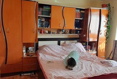 Apartament cu 2 camere decomandat în Obcini - 6