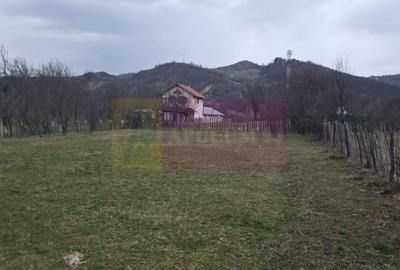 Teren Construcții intravilan de 734 mp, în Brebu