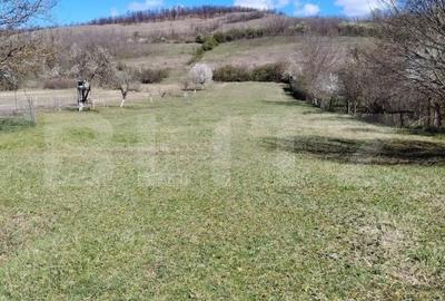 Casă cu 6 camere cu Teren 3500 Mp în Șoimuș