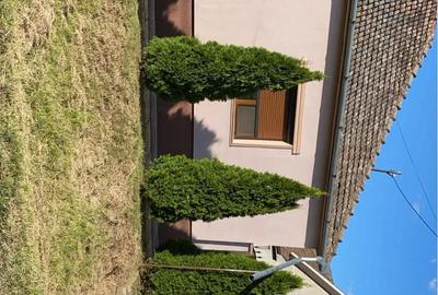 Casă cu 4 camere în Dorobanți - 2