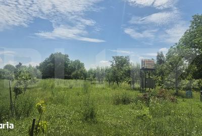 Teren de 5488 mp, în Păulești - 14