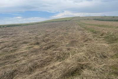 Teren agricol extravilan de 2900 mp, în Gilău