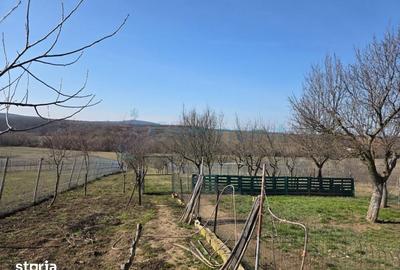 Casă cu 5 camere cu Teren 3316 Mp în Oșorhei