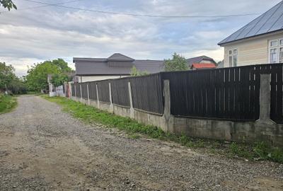 Casă cu 3 camere în Păunești