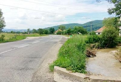 Teren agricol intravilan de 59303 mp, în Cheile Râșnoavei - 1