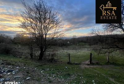 Teren de 2200 mp, în Goranu - 4