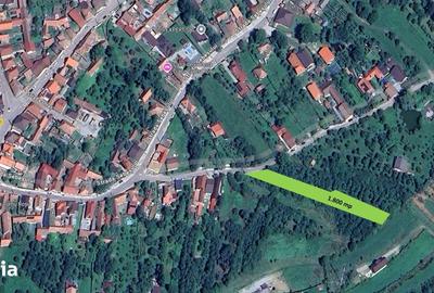 Teren de 1800 mp, în Turnu Roșu - 5