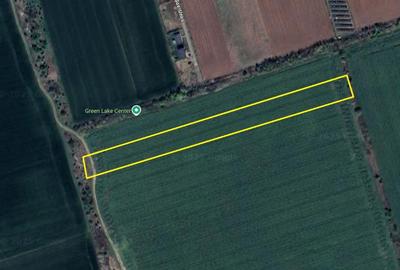 Teren agricol extravilan de 10000 mp, în Căciulați - 3