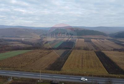 Teren Construcții intravilan de 9000 mp, în Gilău - 10