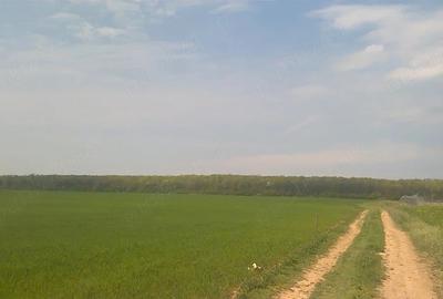 Teren de 19200 mp, în Niculești - 5