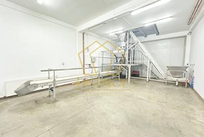 Spațiu industrial, de 1,447 mp, în Freidorf