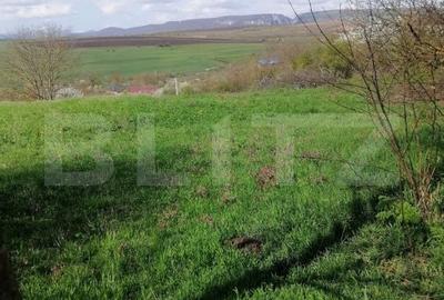 Teren de 1500 mp, în Central - 1