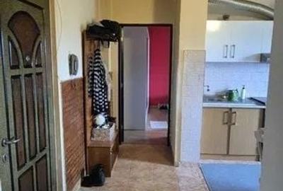 Apartament cu 2 camere decomandat în Remetea - 6