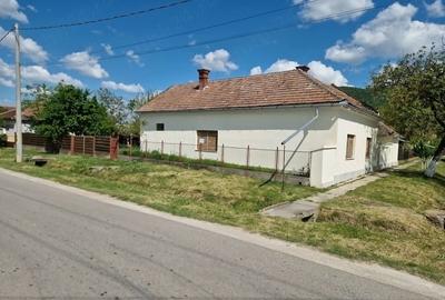 Casă cu Teren 2973 Mp în Șiria - 4