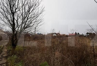 Casă cu 1 camere cu Teren 4246 Mp în Central - 3