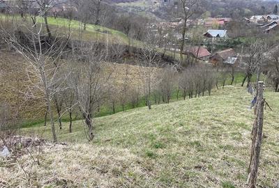 Teren de 2300 mp, în Secăria - 2