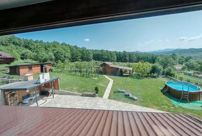 Casă cu Teren 3600 Mp în Bejan - 9