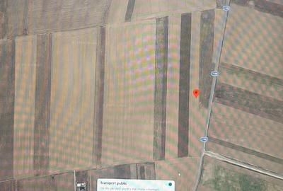 Teren agricol extravilan de 5000 mp, în Tărlungeni - 2