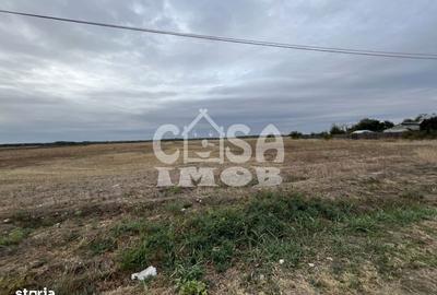 Teren de 1100 mp, în Mogoșani - 7