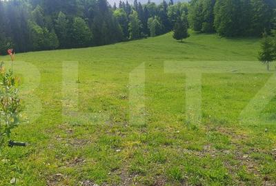 Casă cu 2 camere cu Teren 30000 Mp în Dorna Candrenilor - 7