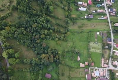 Teren Construcții intravilan de 17000 mp, în Valea Doftanei - 11