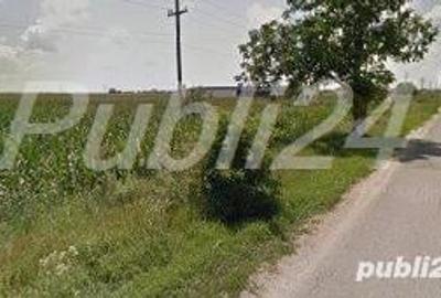 Teren de 8142 mp, în Vidra