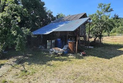Casă cu 2 camere cu Teren 10000 Mp în Mitrofani
