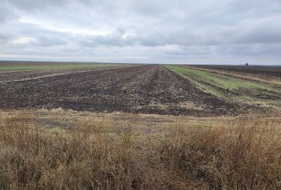 Teren de 12000 mp, în Văceni - 3