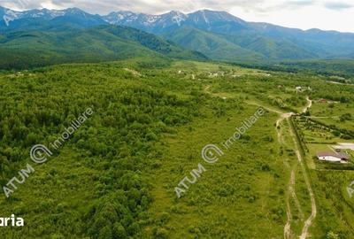 Teren de 2000 mp, în Porumbacu de Jos - 2