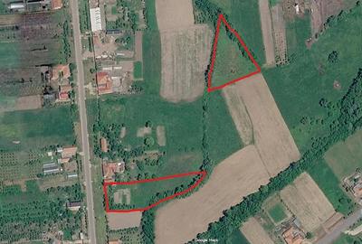Teren de 7900 mp, în Vermeș