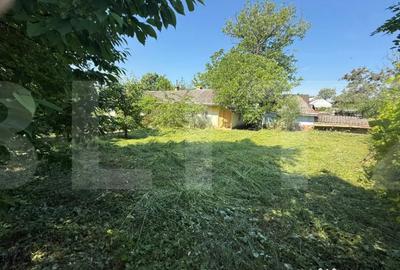 Casă cu 3 camere cu Teren 3095 Mp în Central