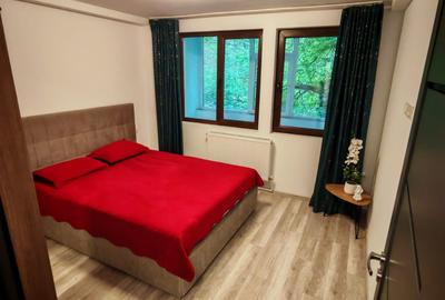 Apartament cu 2 camere semidecomandat în Central - 4