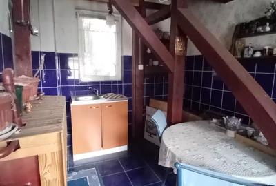 Casă individuală cu 5 camere cu Canalizare în Domenii - 7
