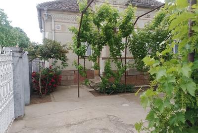 Casă cu 4 camere în Ciupercenii Vechi - 6