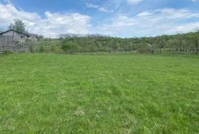Teren de 6000 mp, în Sălciua Nouă - 2