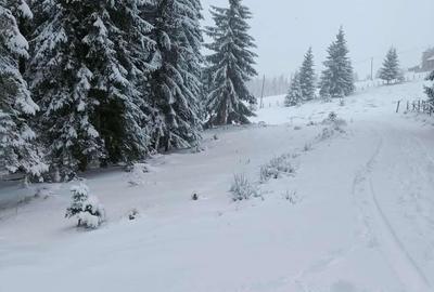 Teren de 1000 mp, în Mărișel