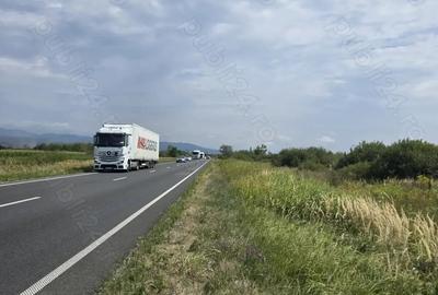 Teren de 29000 mp, în Gavojdia - 4
