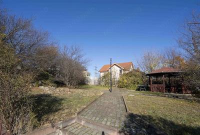 Spațiu comercial, de 599 mp, în Sânmartin