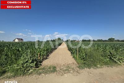 Teren de 3150 mp, în Șercaia