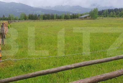 Teren Construcții extravilan de 6200 mp, în Vatra Dornei